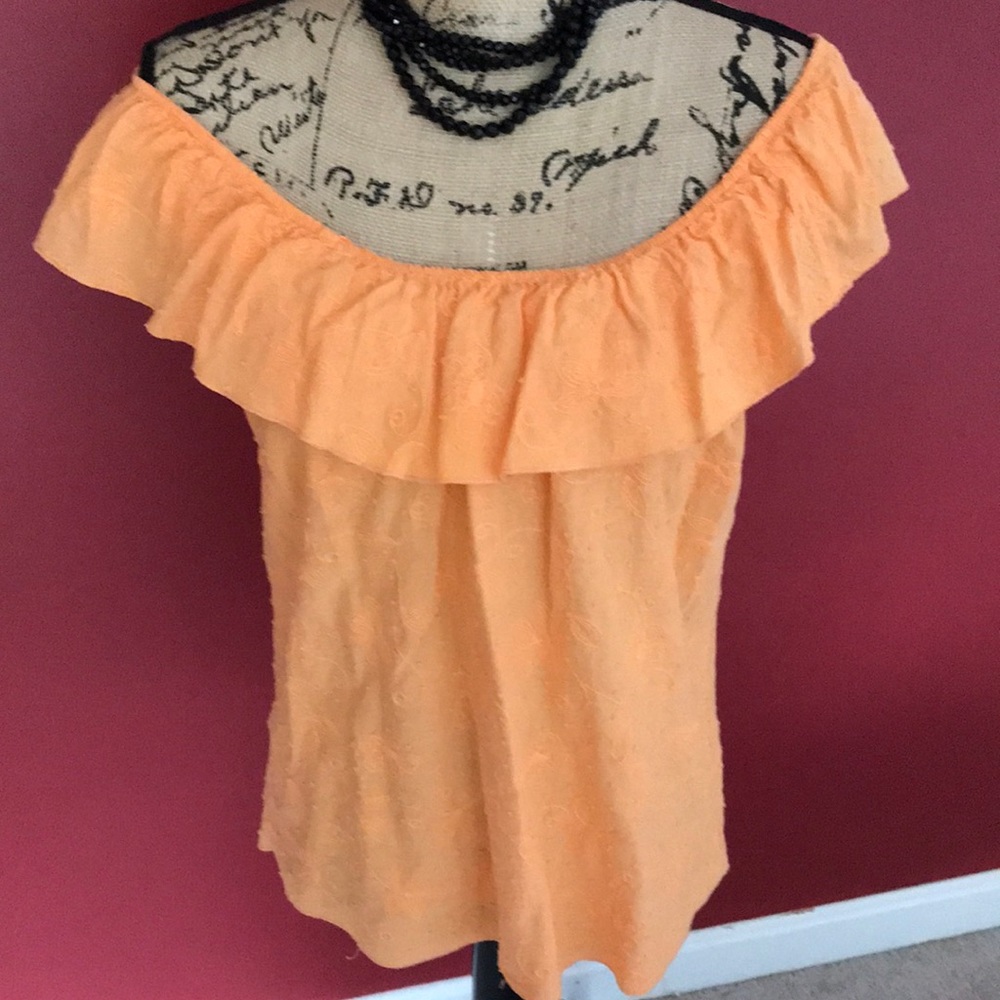 Pretty off the shoulder or not pale orange blouse.